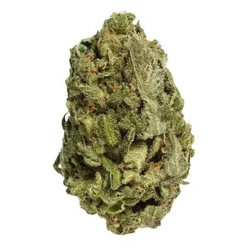 First Choice Cannabis - Vanilla Ice -  Indica 3.5G