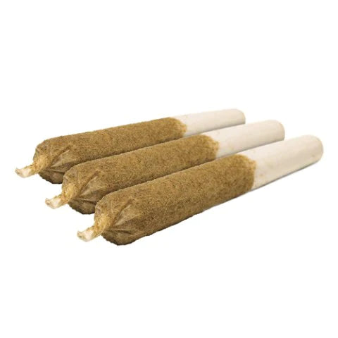 General Admission - Blue Rocket Distiillate Infused Pre-Rolls -  Indica 1.5G